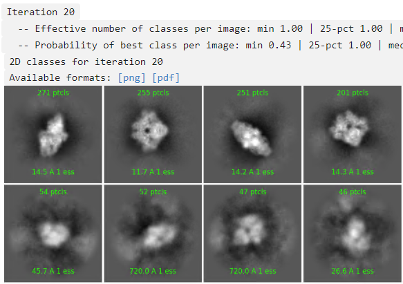 2D classes